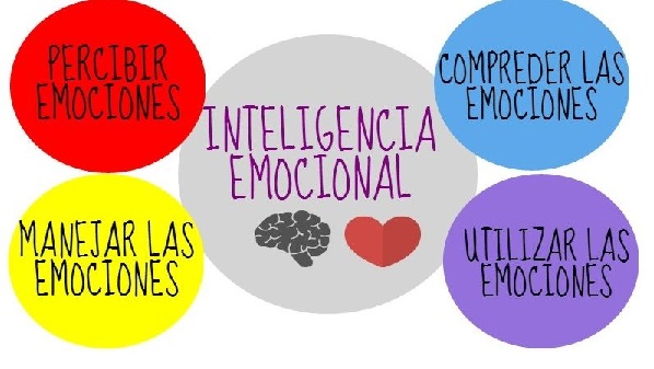 �entiendo la inteligencia emocional
